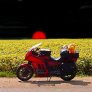 tsarmi1234:n avatar