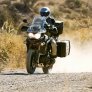 Triumph:n avatar