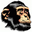 MatkaUkko:n avatar